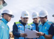 Komitmen PLN Icon Plus dalam Transformasi Energi Hijau di Indonesia