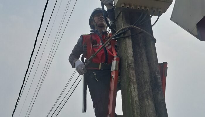 PLN ICON Plus Optimalkan Jaringan Kabel Optik Jelang HUT RI