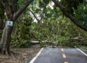 Hujan Deras dan Angin Kencang Rusak Puluhan Rumah dan Jalan Tertutup Pohon Tumbang di Palabuhanratu Sukabumi