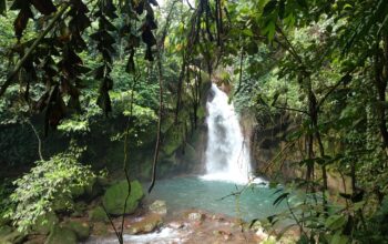 Curug Sentral: Tempat Liburan Alam yang Wajib Dikunjungi di Sukabumi