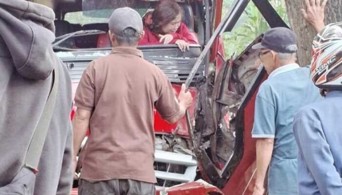 Elf Jurusan Surade Sukabumi Oleng, Tabrak Pohon Akasia