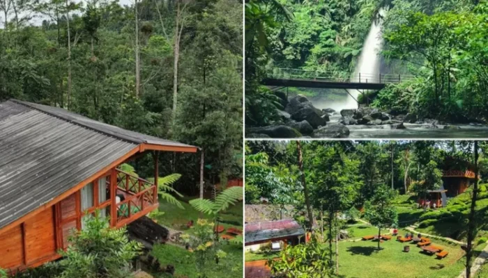 Rumanaya Soul Cinumpang: Tempat Healing Rasa di Tengah Alam Sukabumi