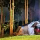 Camping Keluarga di JAVANA SPA, Cidahu, Sukabumi