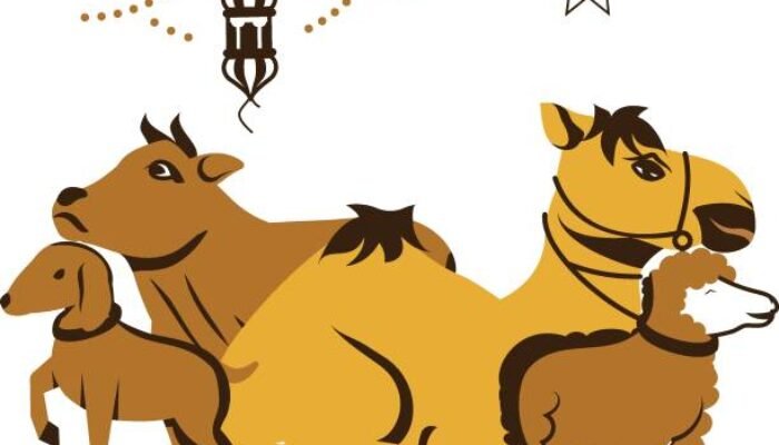 Menggali Hikmah Ibadah Kurban: Lebih dari Sekadar Menyembelih Hewan