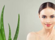 Hilangkan Ketombe Dengan Lidah Buaya, Alami dan Efektif!