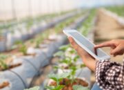 Mahasiswi S3 UNM Ciptakan AI untuk Petani Kentang