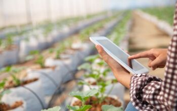 Mahasiswi S3 UNM Ciptakan AI untuk Petani Kentang