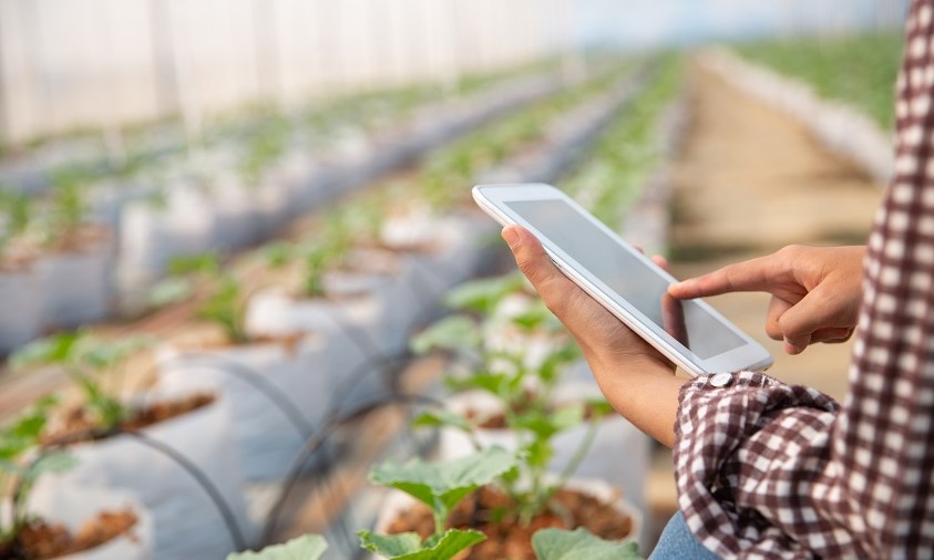 Mahasiswi S3 UNM Ciptakan AI untuk Petani Kentang