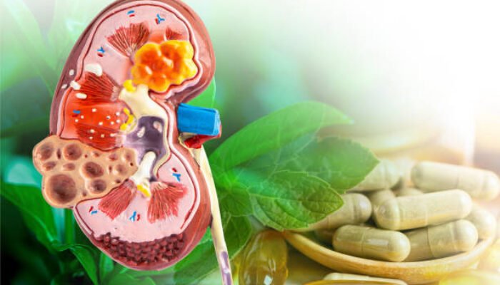 Alternatif Pengobatan Ginjal Lewat Tanaman Herbal