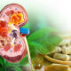 Alternatif Pengobatan Ginjal Lewat Tanaman Herbal| Sumber: istock