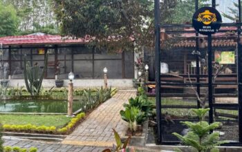 Suasana Kopi Kandang Parungkuda Sukabumi| Sumber: Tiktok @kopikandangsukabumi