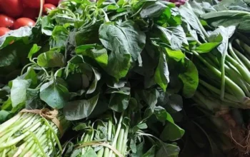 Jangan Tertipu Penampilannya! Bayam Bisa Ganggu Kesehatan Tanpa Disadari | Sumber: Bosmeal.com