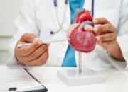 Cegah Masalah Hati dengan Kebiasaan Sehat Sehari-hari