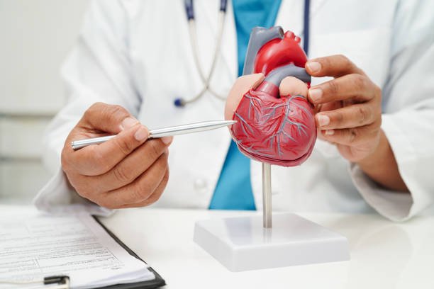 Rahasia Hidup Panjang Dimulai dari Hati yang Sehat | Sumber: istockphoto