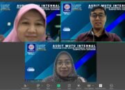 Audit Mutu Internal Prodi SIA