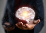 Strategi Belajar Efektif Sesuai Cara Kerja Otak