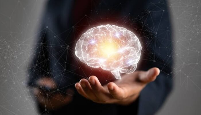 Neuroeducation: Strategi Belajar Efektif Sesuai Cara Kerja Otak