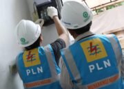 Pekerja PLN