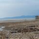 Pantai Citepus Sukabumi Dipenuhi Sampah yang Bertebaran