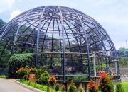 Tidur di Rumah Pohon, Main Flying Fox, Semua Bisa di Sparks Forest Adventure | Sumber: Salsa Wisata