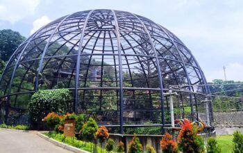 Tidur di Rumah Pohon, Main Flying Fox, Semua Bisa di Sparks Forest Adventure | Sumber: Salsa Wisata