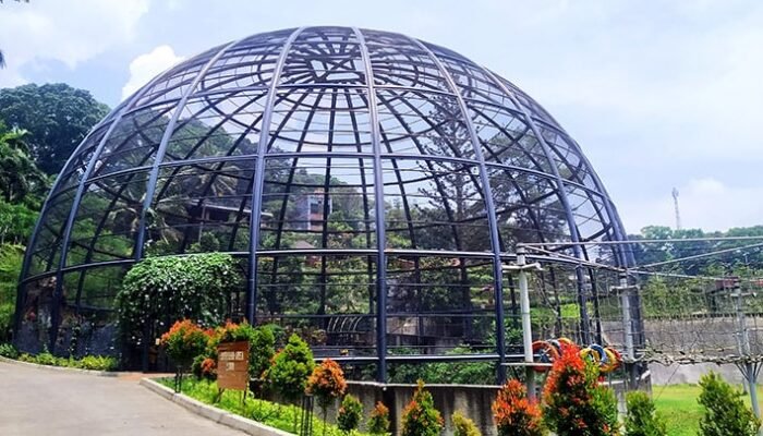 Mau Piknik, Main Air, atau Tidur di Pohon? Ke Sparks Forest Aja!