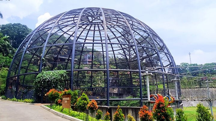 Tidur di Rumah Pohon, Main Flying Fox, Semua Bisa di Sparks Forest Adventure | Sumber: Salsa Wisata