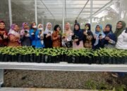KWT Seruni