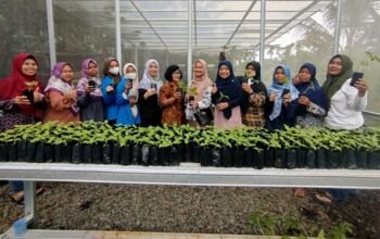 KWT Seruni