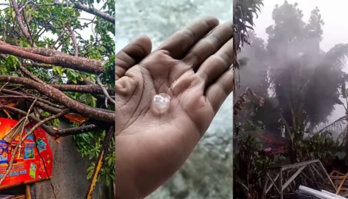 Fenomena Hujan Es dan Angin Kencang Terjang Nagrak Sukabumi Sebabkan Pohon Tumbang Menimpa Rumah Warga