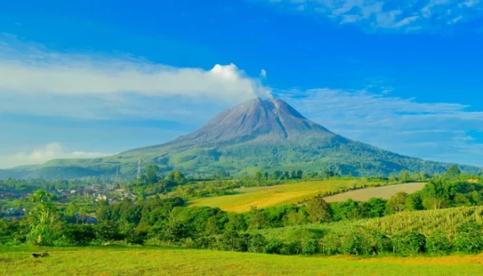 Menyatu dengan Alam di Agrowisata Gunung Wayang Sukabumi