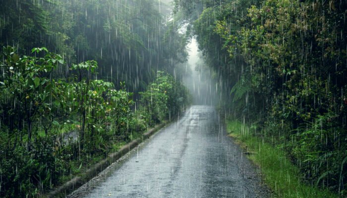 Hujan Deras Disertai Angin Kencang Picu Longsor dan Kerusakan di Beberapa Titik di Kota Sukabumi