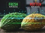 Inovasi Baru Dunia Pertanian: AI Pendeteksi Kesegaran Pare