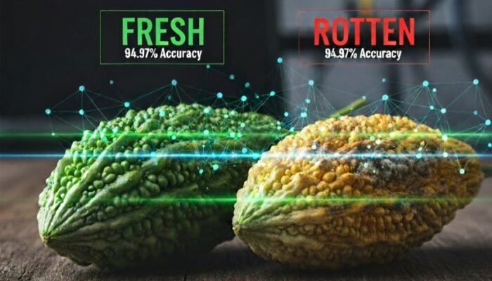 Inovasi Baru Dunia Pertanian: AI Pendeteksi Kesegaran Pare