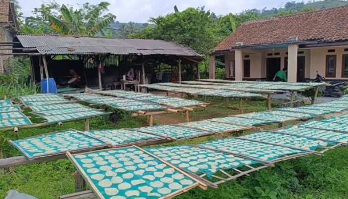 Menggali Potensi Kicimpring: Mahasiswa UBSI Dukung Pengembangan Usaha Enye