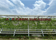 Belajar Hidroponik Langsung dari Praktisi: Program Kreativitas Mahasiswa di Aerfarm | Sumber: Doc. Istimewa