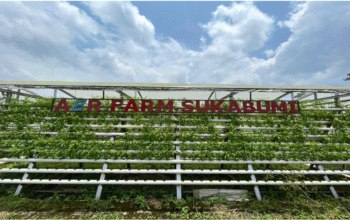 Belajar Hidroponik Langsung dari Praktisi: Program Kreativitas Mahasiswa di Aerfarm | Sumber: Doc. Istimewa