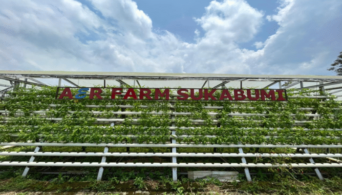 Sinergi Sistem Informasi dan Agriteknologi: Inovasi Budidaya Hidroponik Aerfarm