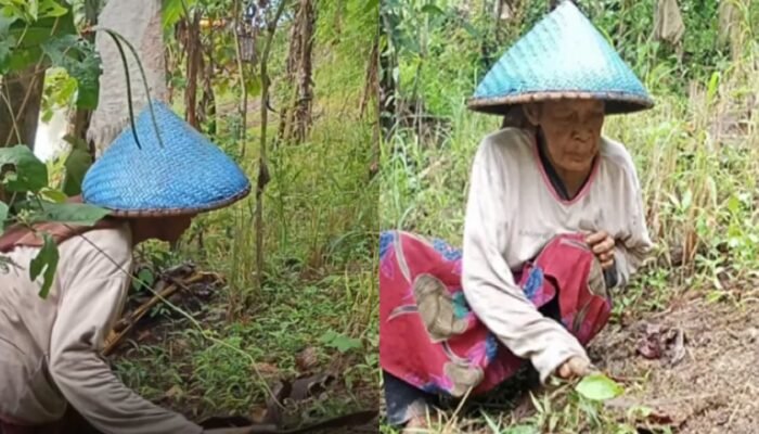 15 Tahun Menanti di Cisoblang, Mak Karsinah Berharap Irah Pulang dari Arab Saudi