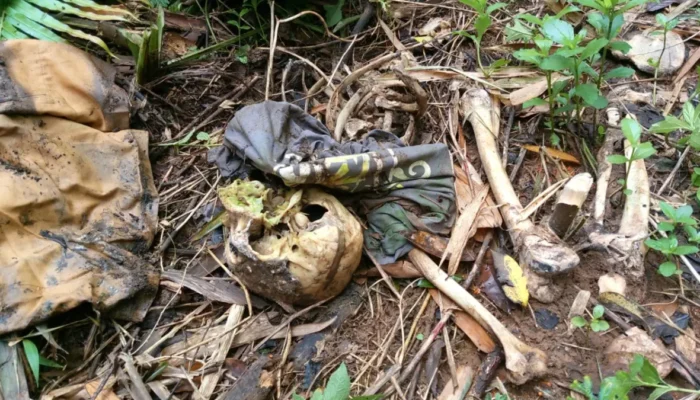 Temuan Kerangka Manusia Bikin Geger Warga Kampung Cipari Sukabumi