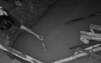 Balita 4 Tahun Tewas Terjatuh ke Septic Tank di Gegerbitung Sukabumi | Sumber: Polsek Gegerbitung