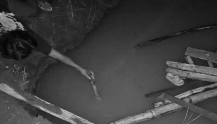 Kecelakaan Maut di Area Persawahan Sukabumi, Balita Tewas Terjatuh ke Lubang