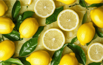 Minuman Lemon Series yang Cocok untuk Cuaca Panas