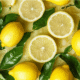 Minuman Lemon Series yang Cocok untuk Cuaca Panas