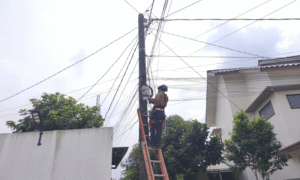 PLN Icon Plus Tata Jaringan, Jaga Keandalan Layanan
