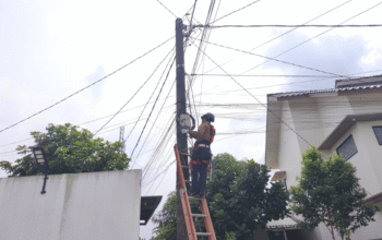 PLN Icon Plus Tata Jaringan, Jaga Keandalan Layanan