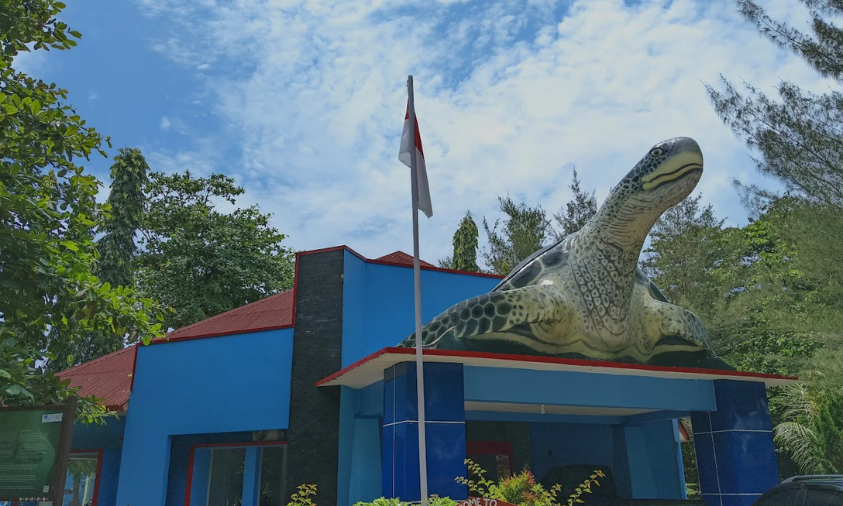 Wisata edukasi Konservasi Penyu Pangumbahan Sukabumi.