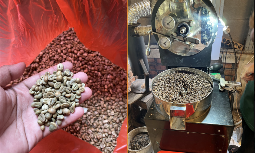 Tahapan roasting biji kopi Wintira Coffee dalam menghasilkan karakter rasa yang khas. | Doc: Istimewa