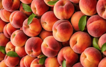 Peach Bikin Dessert Makin Segar, Ini 3 Kreasi yang Wajib Dicoba