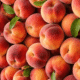Peach Bikin Dessert Makin Segar, Ini 3 Kreasi yang Wajib Dicoba